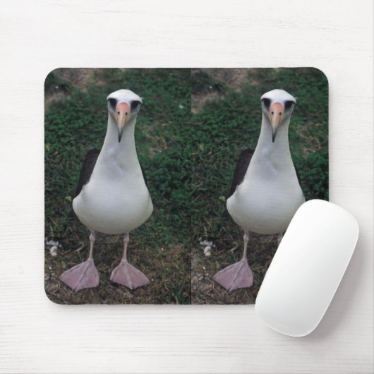 Laysan Albatros stehend Mousepad (Mit Mouse)