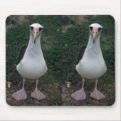 Laysan Albatros stehend Mousepad (Vorne)