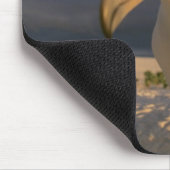 Laysan Albatross, Diomedea immutabilias), Mousepad (Ecke)
