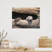 Lazing Komodo Poster (Küche)
