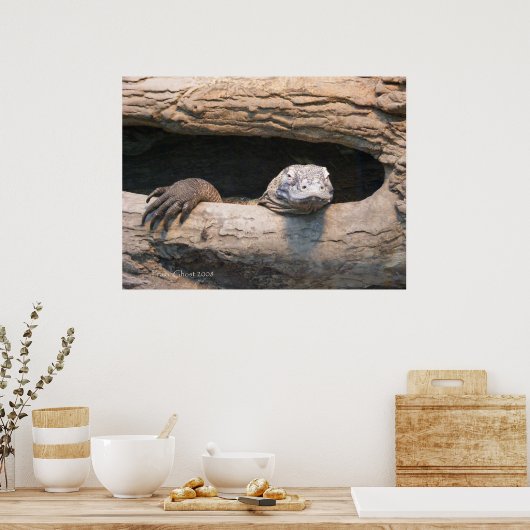 Lazing Komodo Poster (Küche)