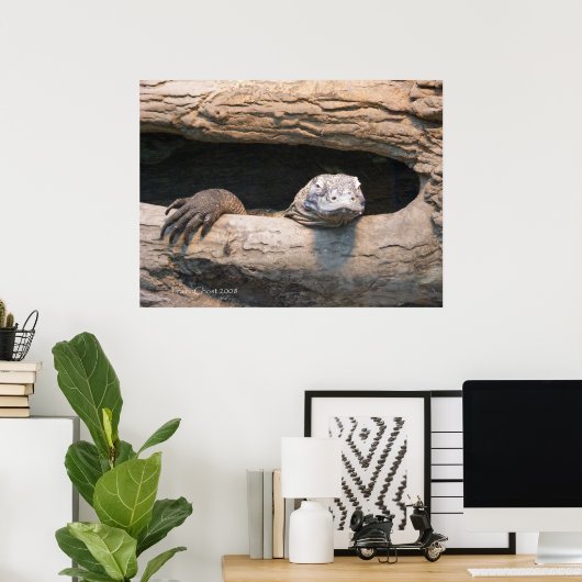 Lazing Komodo Poster (Heimbüro)