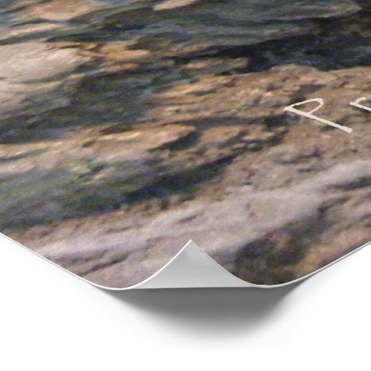 Lazing Komodo Poster (Ecke)