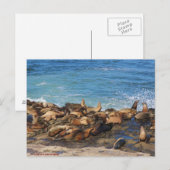 Lazing On A Sunny Afternoon Postkarte (Vorne/Hinten)