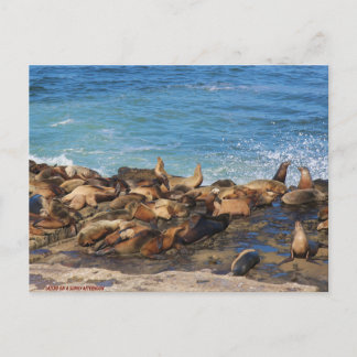 Lazing On A Sunny Afternoon Postkarte