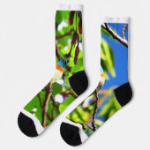 Lazuli-Ammer Socken (Linkes Detail)