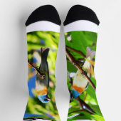 Lazuli-Ammer Socken (Oben)