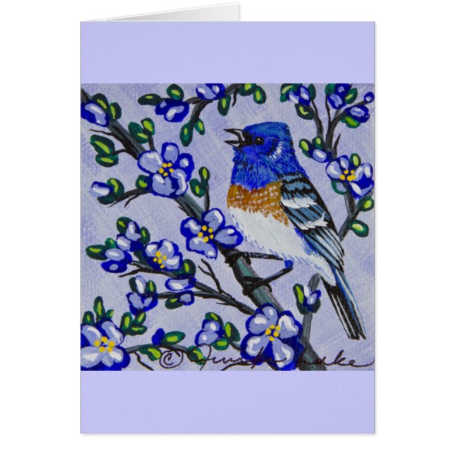 Lazuli Bunting (Vorne)