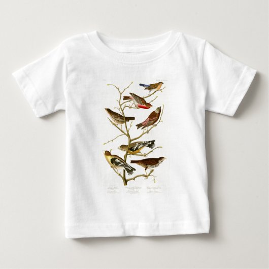 Lazuli-Fink-John James Audubon-Vögel von Amerika Baby T-shirt (Vorderseite)