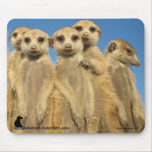 Lazuliwelpen Mousemat Mousepad