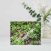 Lazy Acorn elf frisst Heidelbeeren Postkarte (Stehend Vorderseite)