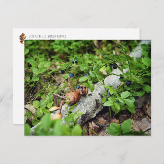 Lazy Acorn elf frisst Heidelbeeren Postkarte (Vorne/Hinten)