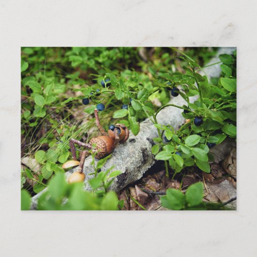 Lazy Acorn elf frisst Heidelbeeren Postkarte (Vorderseite)