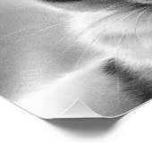 Lazy Afternoons Cat Foto Print (Ecke)