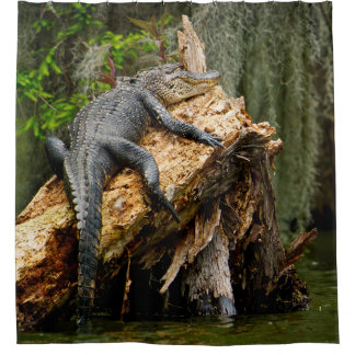 Lazy Alligator Duschvorhang von DeGruy