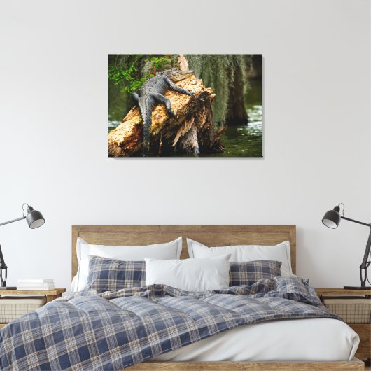 Lazy Alligator Stretched Canvas Print von DeGruy Leinwanddruck (Insitu (Schlafzimmer))
