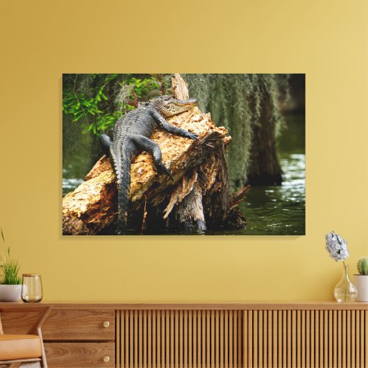 Lazy Alligator Stretched Canvas Print von DeGruy Leinwanddruck (Insitu (Wohnzimmer))
