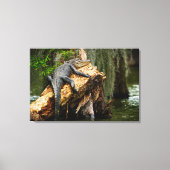 Lazy Alligator Stretched Canvas Print von DeGruy Leinwanddruck (Vorderseite)