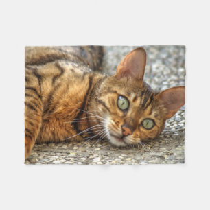 Lazy Bengalisch Cat Fleecedecke
