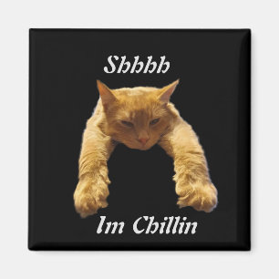 Lazy Brown Cat Chillin, Kühlschrankmagnet