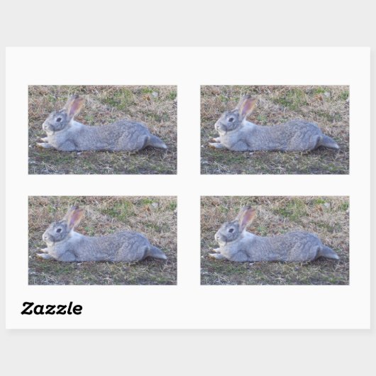 Lazy Bunny Stickers (Blatt)