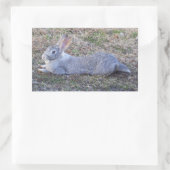 Lazy Bunny Stickers (Tasche)