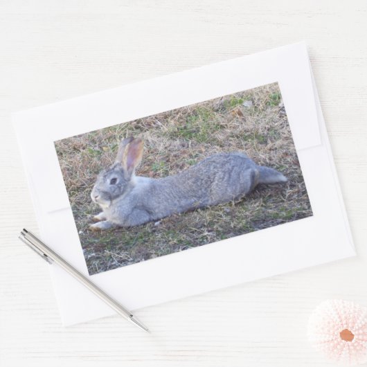 Lazy Bunny Stickers (Umschlag)