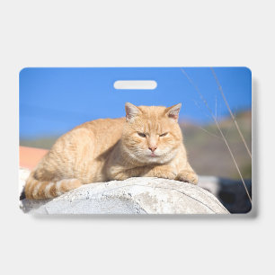 Lazy Cat Ausweis