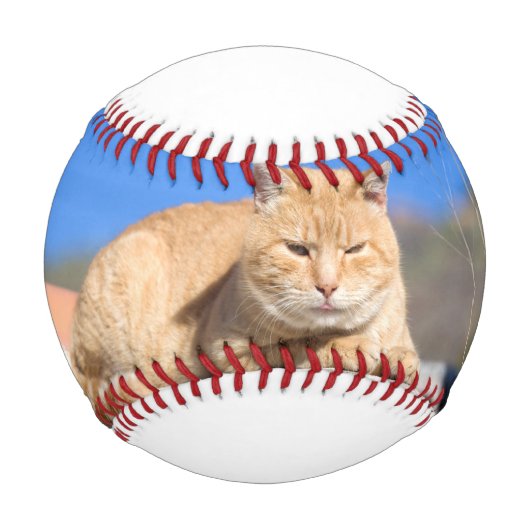 Lazy Cat Baseball (Vorderseite)