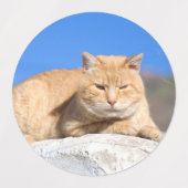 Lazy Cat Etiketten (Design 2)