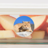 Lazy Cat Etiketten (Befestigt)