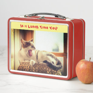 Lazy Cat Feline Metal Lunch Box
