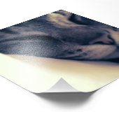 Lazy Cat Fotodruck (Ecke)