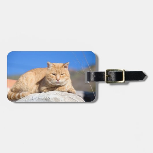 Lazy Cat Gepäckanhänger (Vorderseite horizontal)