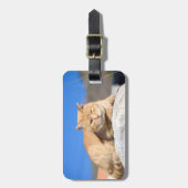 Lazy Cat Gepäckanhänger (Vorderseite vertikal)