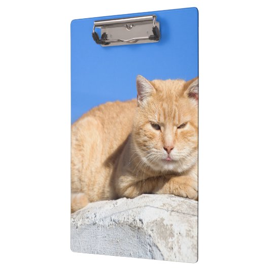 Lazy Cat Klemmbrett (Links)