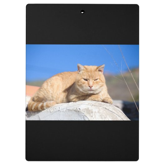 Lazy Cat Klemmbrett (Rückseite)