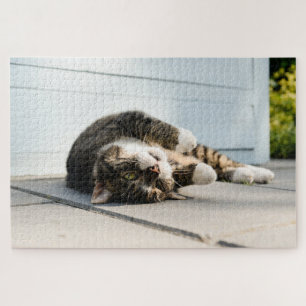 Lazy Cat Lounges on Porch Puzzle