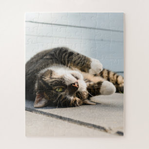 Lazy Cat Lounges on Porch Puzzle