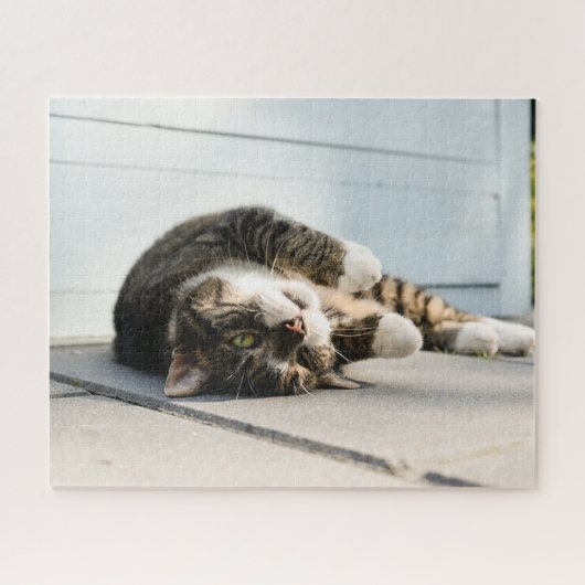Lazy Cat Lounges on Porch Puzzle (Horizontal)