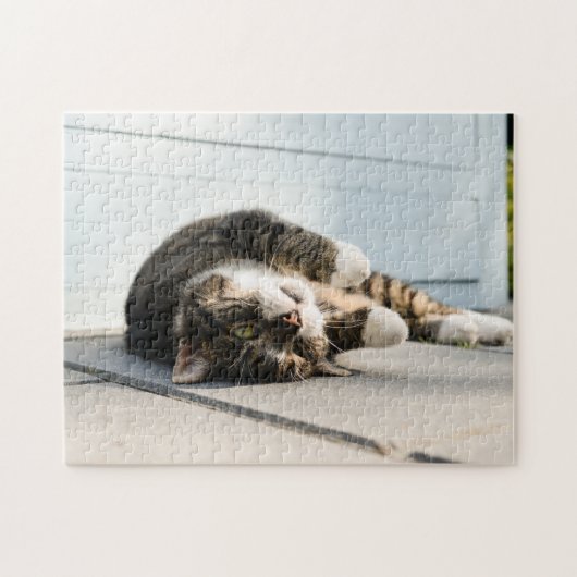 Lazy Cat Lounges on Porch Puzzle (Horizontal)