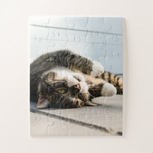 Lazy Cat Lounges on Porch Puzzle