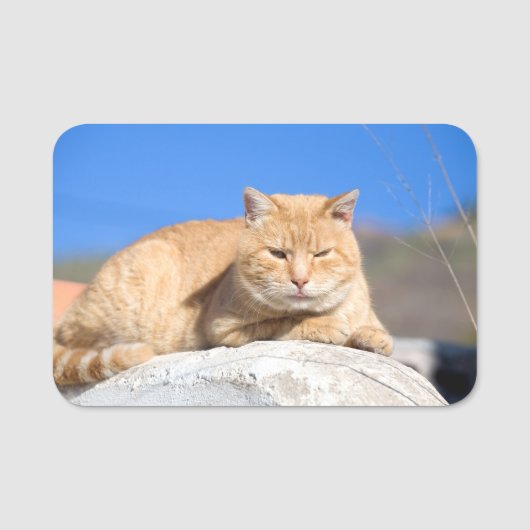 Lazy Cat Namensschild (Vorderseite)