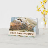 Lazy Cat Philosophie Geburtstag Karte (Gelbe Blume)