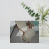 Lazy Cat Postkarte (Stehend Vorderseite)