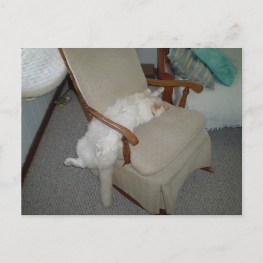 Lazy Cat Postkarte (Vorderseite)