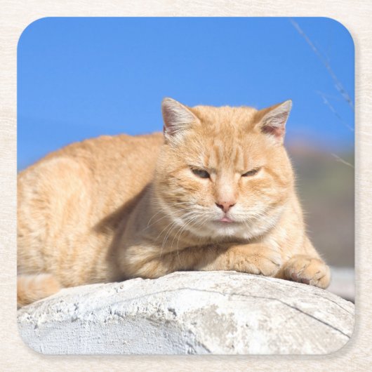 Lazy Cat Rechteckiger Pappuntersetzer (Vorderseite)