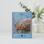 Lazy Cat Say's Hello Postcard Postkarte (Stehend Vorderseite)
