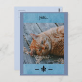 Lazy Cat Say's Hello Postcard Postkarte (Vorne/Hinten)