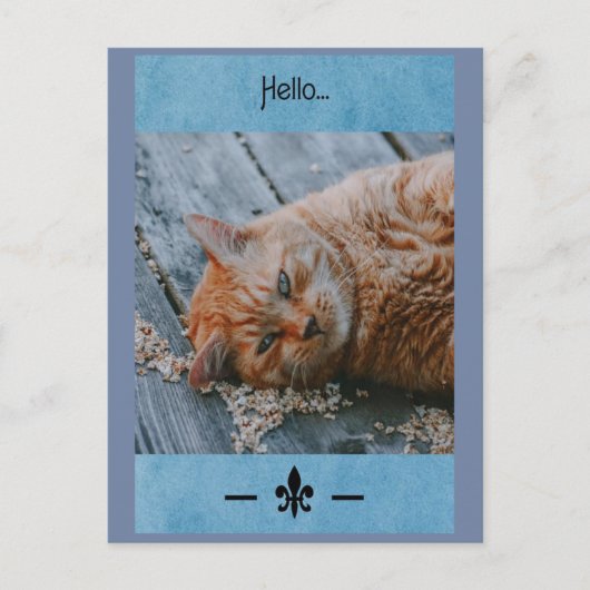 Lazy Cat Say's Hello Postcard Postkarte (Vorderseite)